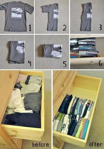 家居除味，植物帮手来帮忙