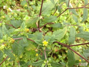 儿童游乐场铺装材料得考虑啥？