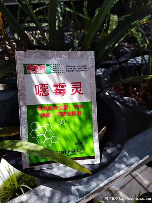 恶霉灵可用于土壤消毒，防治多种作物病害