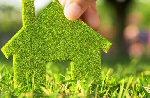 适地适树植物：选择的植物品种要适宜