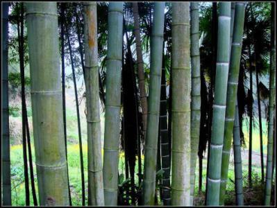 关键技术来帮忙