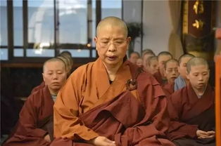 法师养殖的小秘密，快来学习！