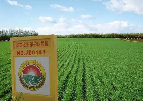 决定用种量的三大核心要素