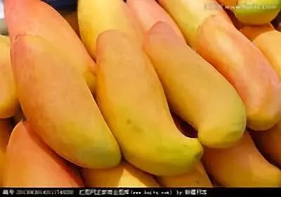 揭秘：哪些人群不宜食用毛桃？芒果禁忌一览