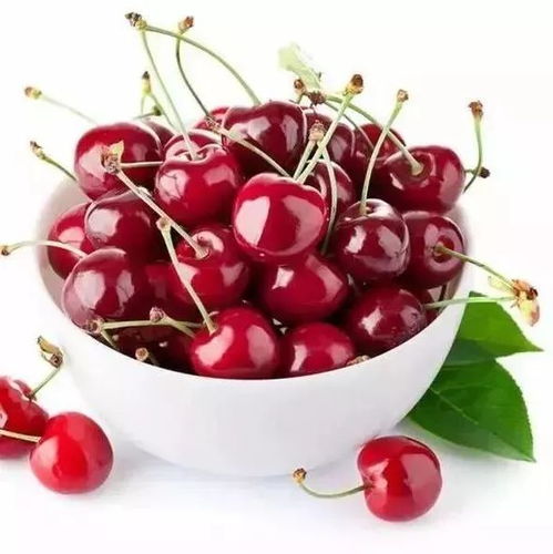 种植心得：见证生命奇迹， 成就感满满