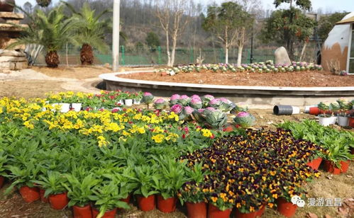 宜昌的生态农庄是怎么Zuo的？