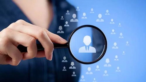 专业化、 规模化、标准化