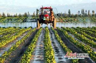 农药和复合肥混用，小心副作用！