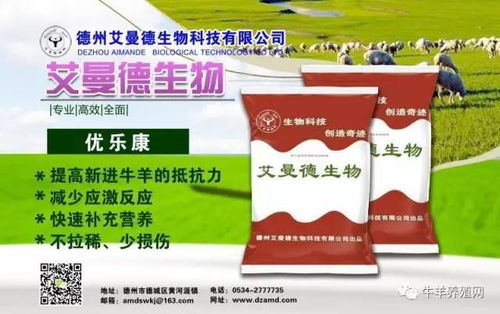 2025年养殖户选购高性价比牛饲料，十大品牌权威排名中哪个品牌性价比最高？