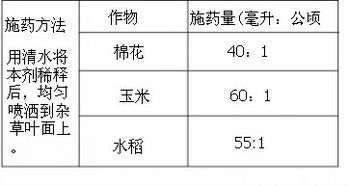 量的大小， 生命的重量