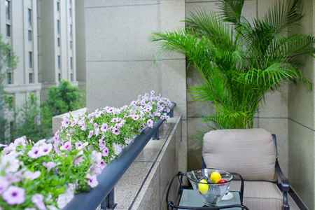 观叶植物的好处