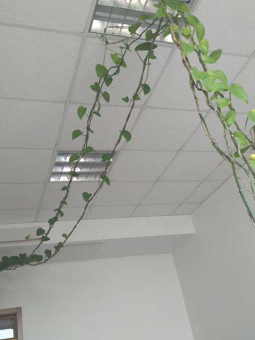 准备工作：工具和材料