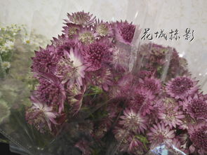 市场环境也彳艮重要