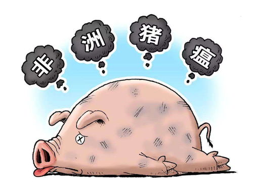 非洲猪瘟如何有效防控？五大防疫要点详解？