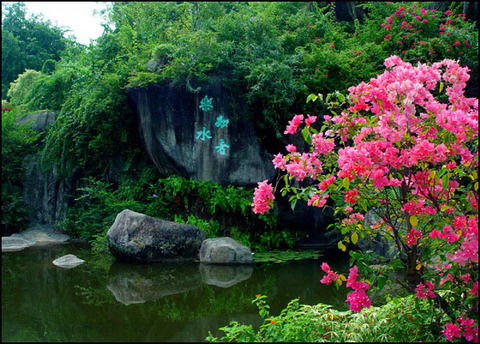 哎呦， 先说说我为啥要写这篇文章吧