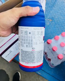 纹枯病， 这可不是闹着玩的