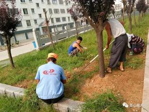 传统方法与农药选择