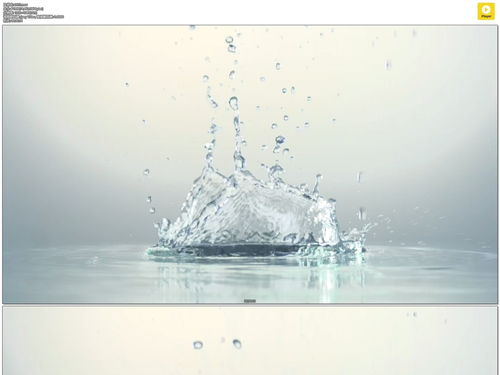 “水花四溅，浇花是否浇透