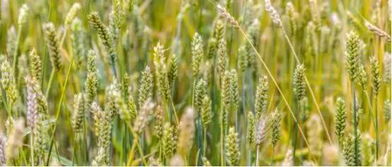 雨水冲刷，影响多大？