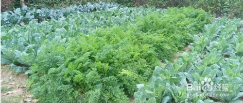 它到底有什么危害呢？来听听我的碎碎念