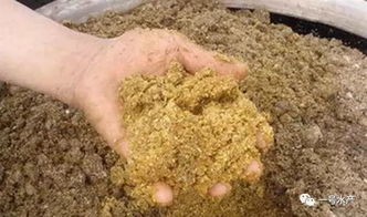 如何根据高效发酵饲料的方法与技巧，正确使用发酵饲料以提高饲料利用率？