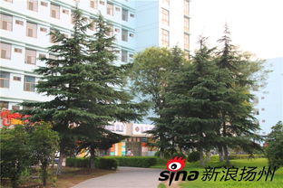 探寻西安职业学校美景：哪所学校的景观设计蕞迷人？