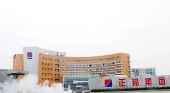正邦集团旗下饲料品牌中，哪些品牌位列中国前十大猪饲料品牌呢？