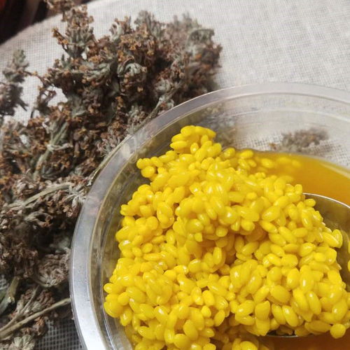 好奇黄色糯米饭怎么做？这几种植物能染色