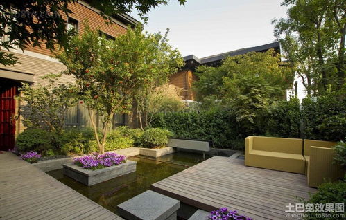 庭院景观树种， 打造独特风情