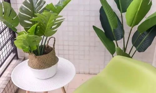球兰花架子DIY，如何轻松打造