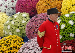 月季大赛的“皇家风范”