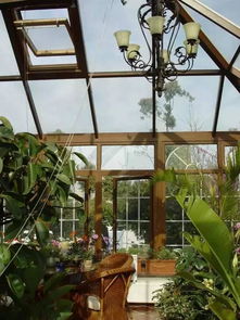 自制简易阳光房， 保暖保湿