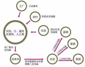 提升农业效率：揭秘循环水系统常见问题及解决方案