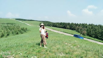 海拔2200米高原牧场种植耐寒牧草的探讨