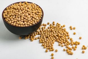 豆粕多少钱一斤，大豆价格多少钱一斤，黄豆的价格受哪些因素影响？