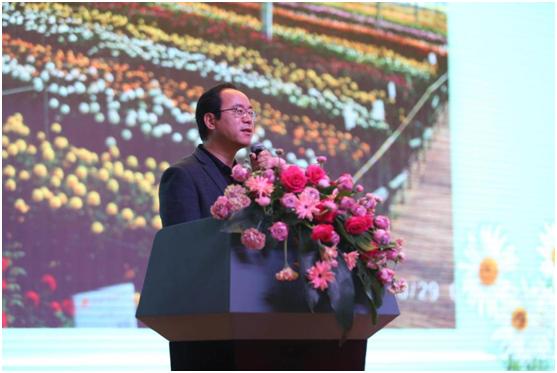 云南花卉产业：黄金花海， 绽放国际舞台