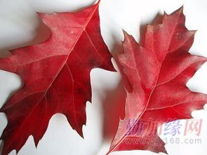 2. 纹理也有差异