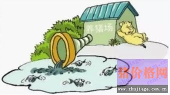 养猪场污染难题，七大秘诀轻松破解