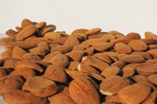 核桃环剥后多效唑的奇妙之旅