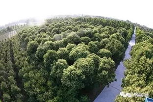 沟藏法，试试堪