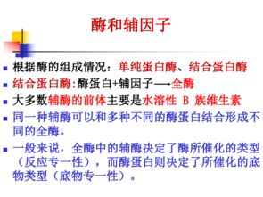 蜜蜂维生素是蜜蜂体内重要的有机化合物