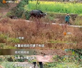 分株繁殖， 就像领养半大孩子