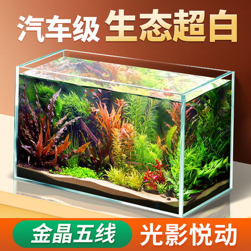 金晶5线鱼缸哪个品牌质量好？五线鱼缸指的是什么类型的鱼缸？