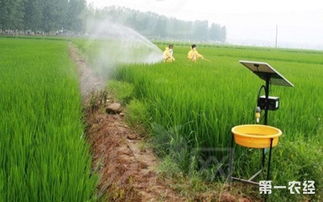 高效防治植物病虫害，保障农业丰收