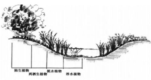 人造元素的艺术