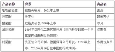 注意事项， 平安第一
