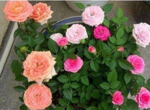 温度与光照， 要注意