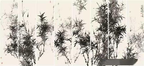 簕竹养护入门， 打造家居清雅风景