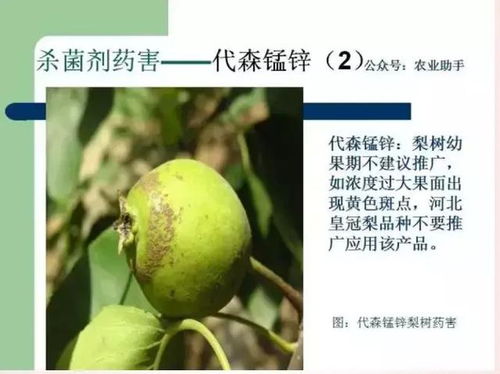 虫螨腈的登记情况咋样？