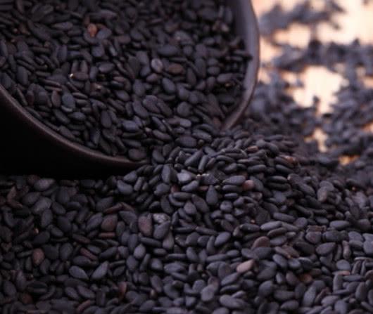 什么是油松种子？